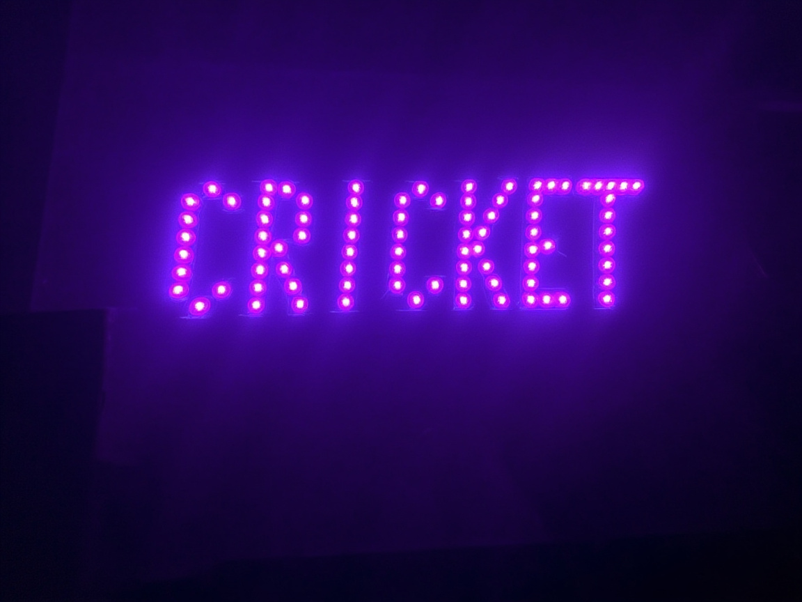 MelBet Pro Live Cricket Scores & Updates melbet